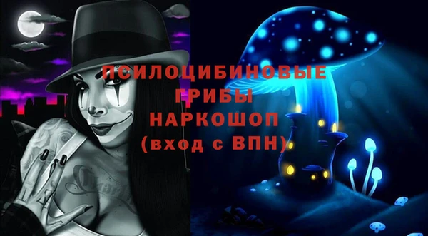 винт Армянск