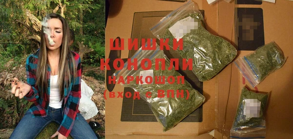 индика Аркадак