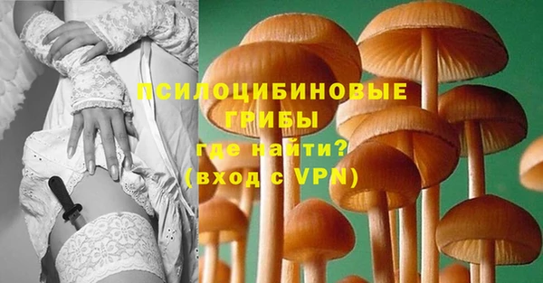 ПСИЛОЦИБИНОВЫЕ ГРИБЫ Балахна