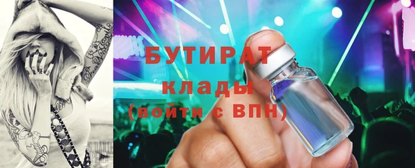 индика Аркадак