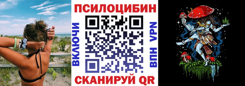 гидра   Кукмор  Псилоцибиновые грибы мицелий 